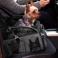 Dog Booster Car Seat Sale