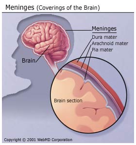 Fungal Meningitis Symptoms Adults
