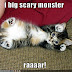 Funny Pictures Of Puppies And Kittens