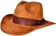 Indiana Jones Hat Type