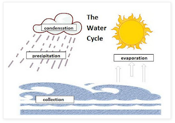 Information On The Water Cycle For Children