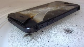 Iphone 1 Generation Screen Replacement