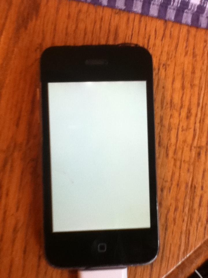 Iphone 3gs White Screen Fix