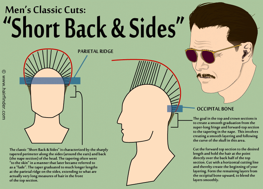 Mens Hairstyles Short Back And Sides