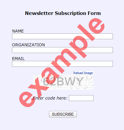 Newsletter Signup Form Examples