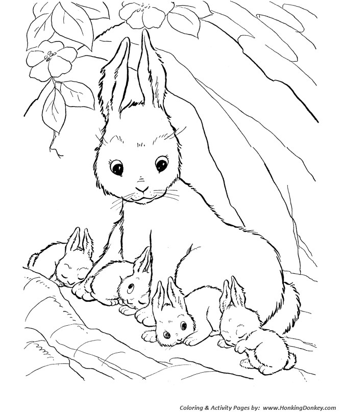 Pictures Of Animals For Kids To Colour