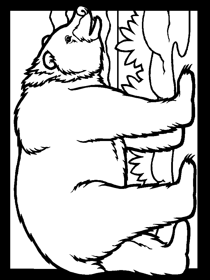 Pictures Of Animals To Color