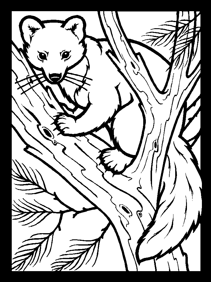 Pictures Of Animals To Color And Print