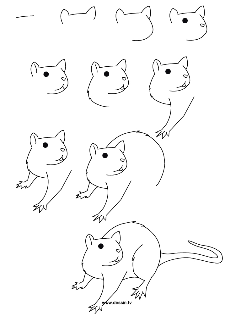 Pictures Of Animals To Draw Step By Step