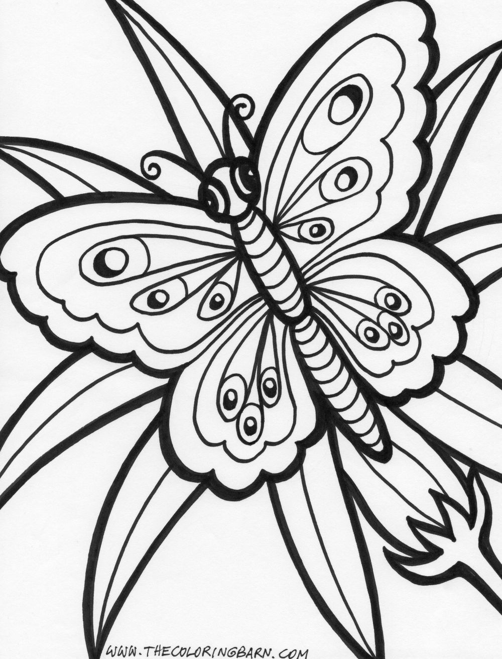 Pictures Of Flowers And Butterflies For Kids