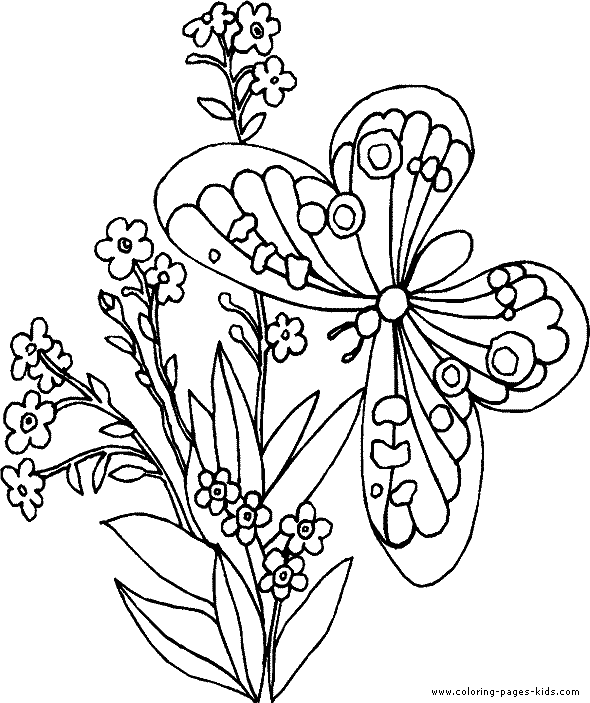 Pictures Of Flowers And Butterflies To Color