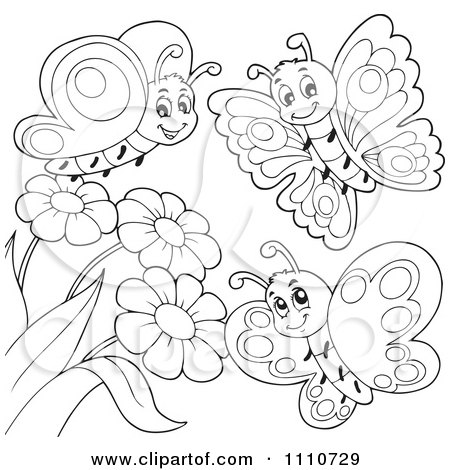 Pictures Of Flowers And Butterflies To Colour In