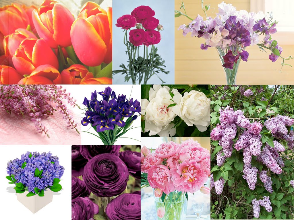 Pictures Of Flowers With Names