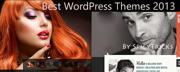 Premium Wordpress Themes Free Download