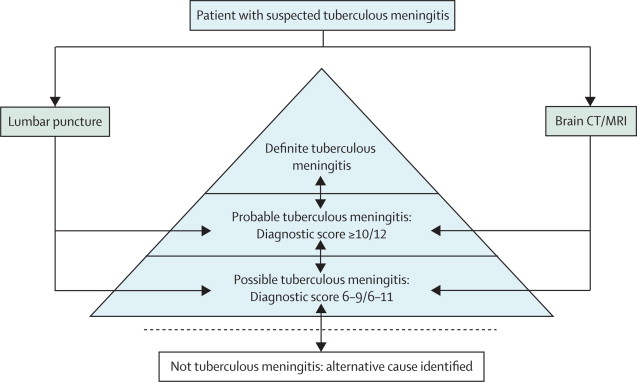 Tubercular Meningitis In Children Ppt