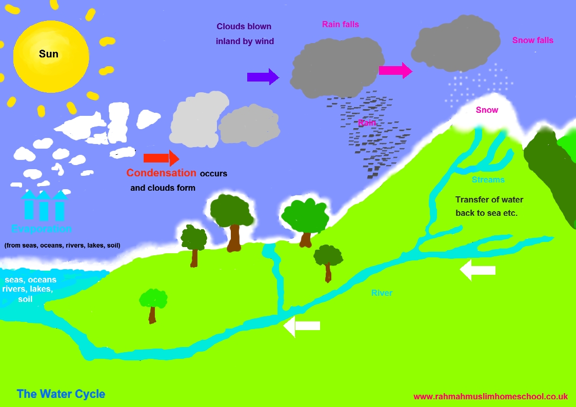 Water Cycle For Kids Worksheets