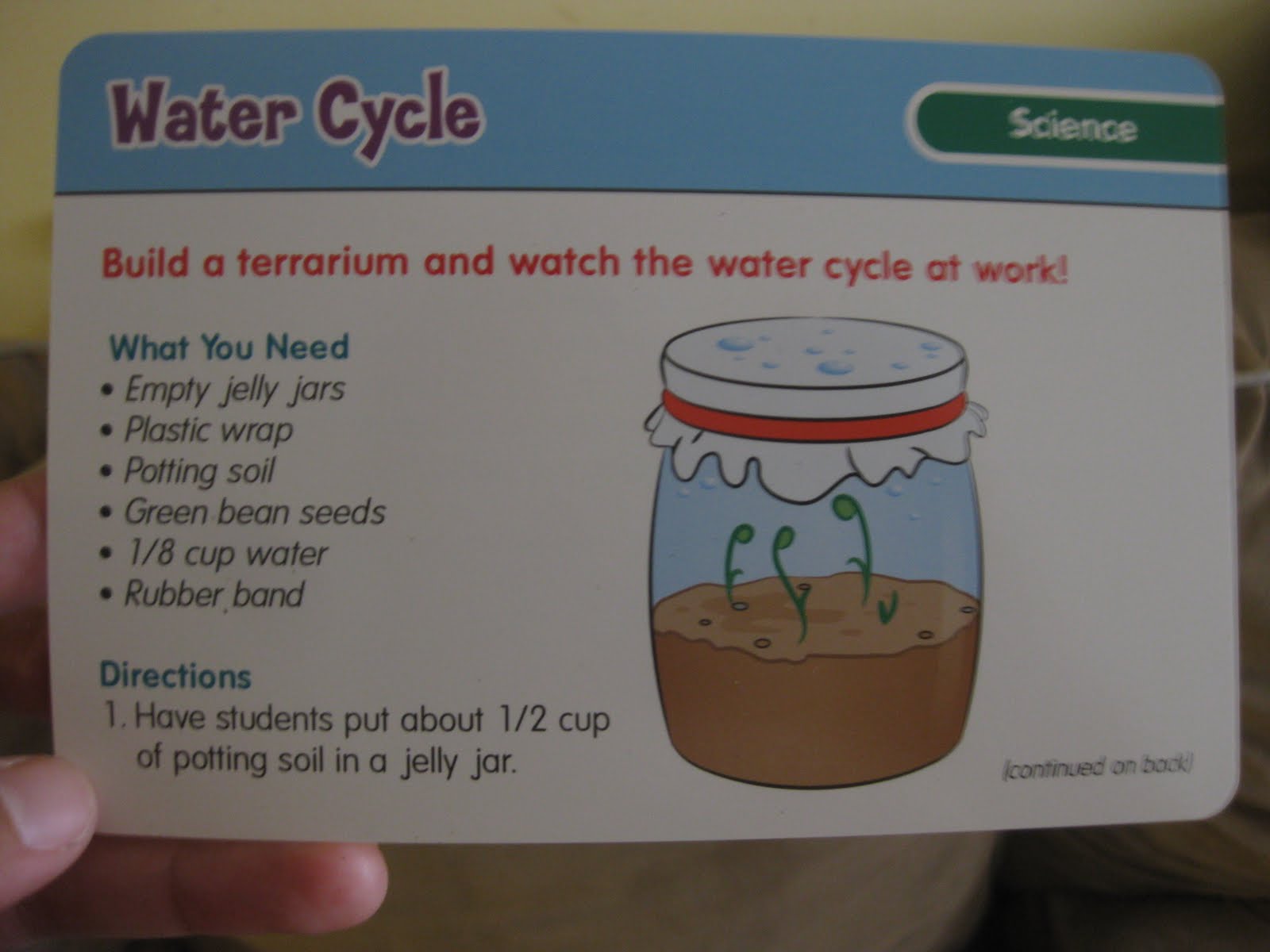 Water Cycle Video Magic School Bus