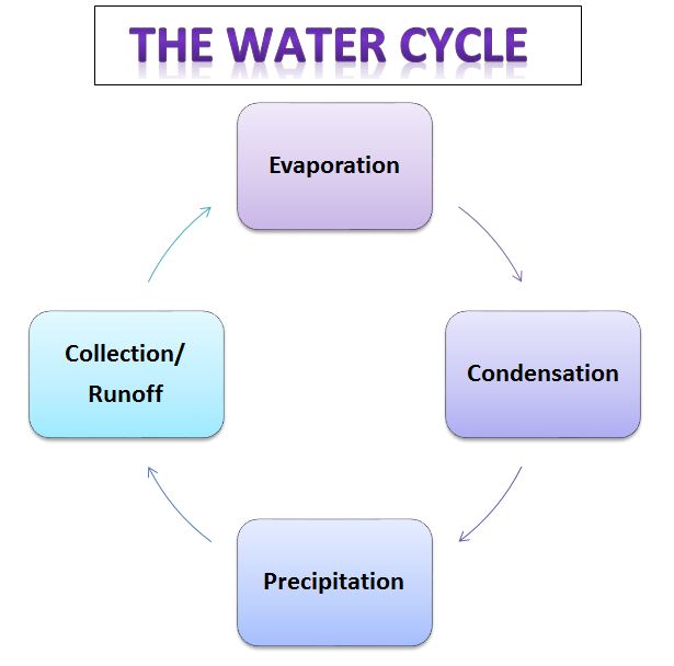 Water Cycle Worksheets For Kids Free