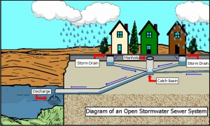 Water Pollution Prevention Tips