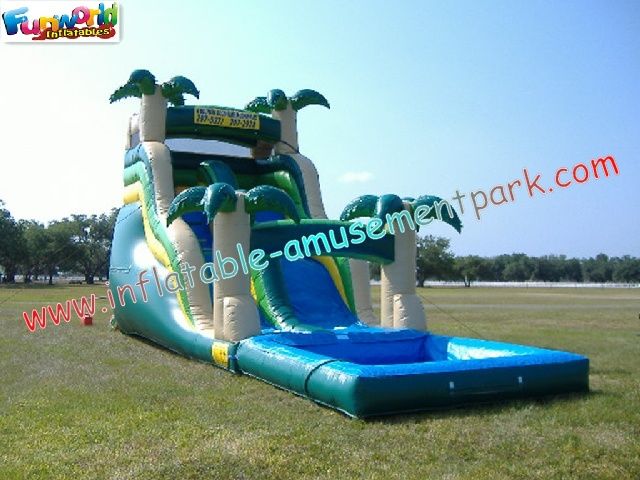 Water Slides For Kids And Adults