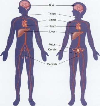 Woman Body Parts Pictures