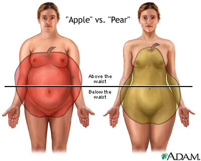 Women Body Shapes Quiz