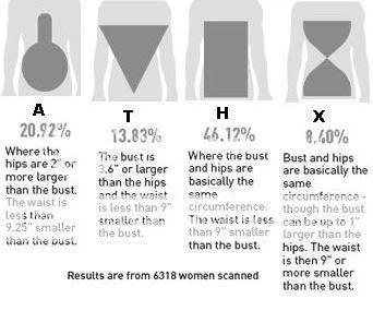 Women Body Types