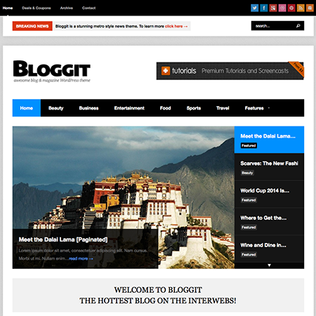 Wordpress Blog Themes Responsive