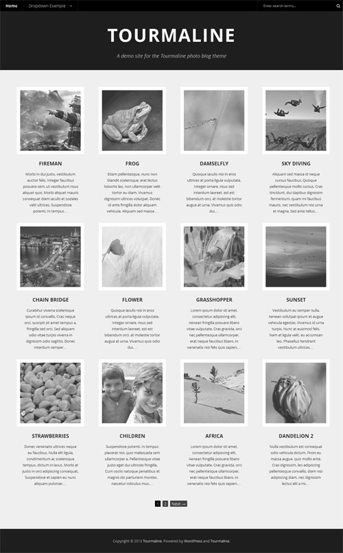 Wordpress Themes Responsive Photography